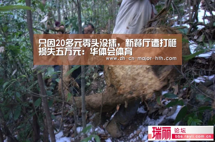 只因20多元零头没抹,新餐厅遭打砸损失五万元:华体会体育(图2) 华体会体育