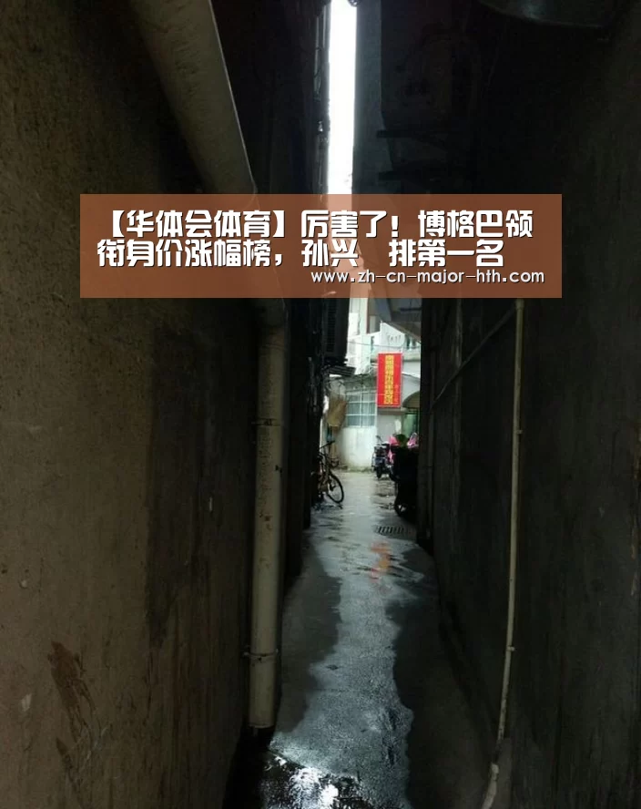 【华体会体育】厉害了!博格巴领衔身价涨幅榜,孙兴慜排第一名(图2) 华体会体育