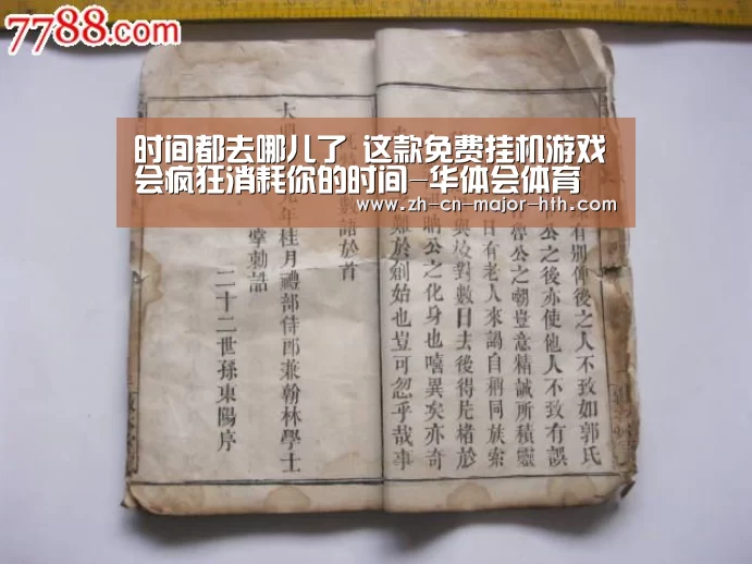 时间都去哪儿了 这款免费挂机游戏会疯狂消耗你的时间-华体会体育