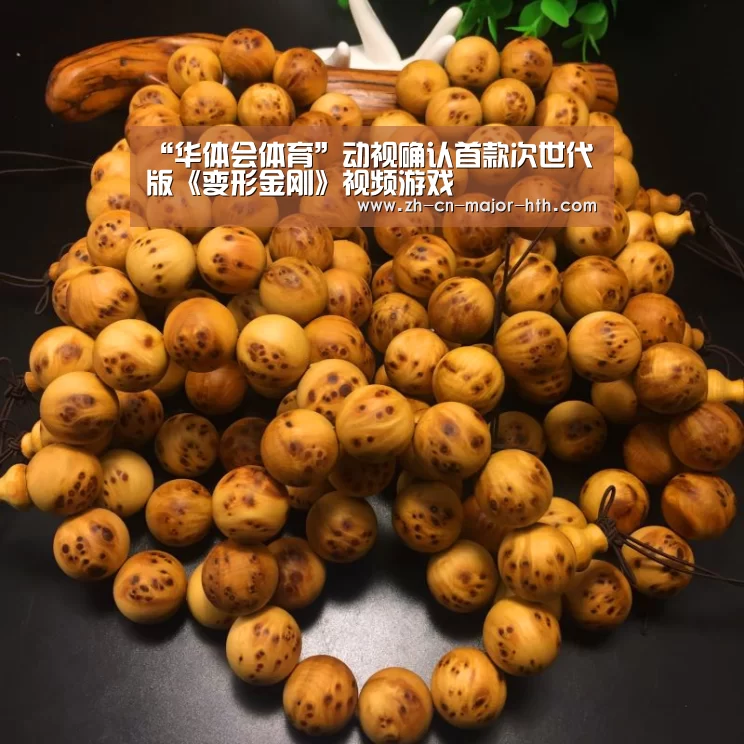 “华体会体育”动视确认首款次世代版《变形金刚》视频游戏(图3) 华体会体育